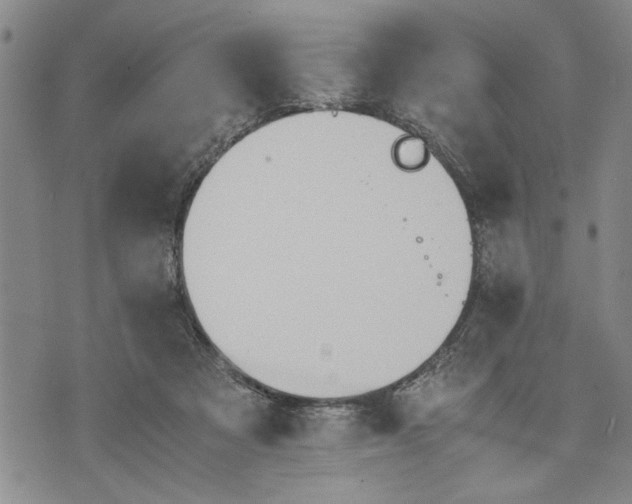 X0000075810313200610151436