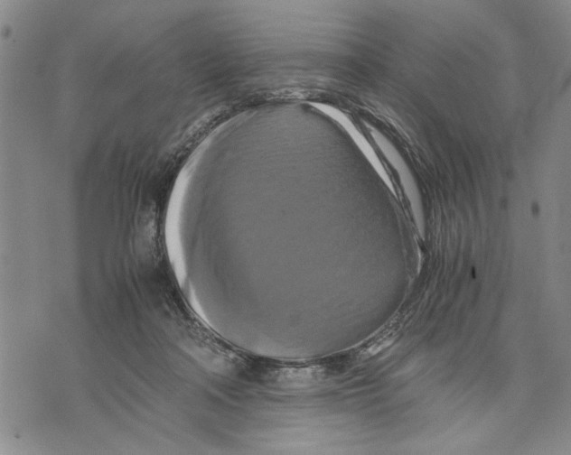 X0000075810314200610151436