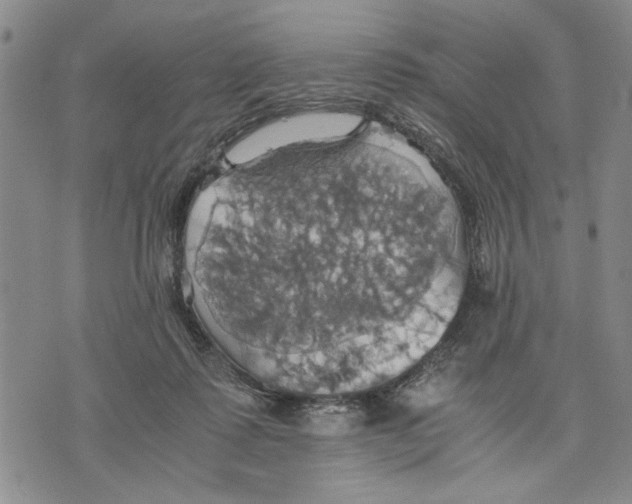 X0000075810315200610151436