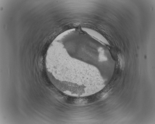 X0000075810319200610151436