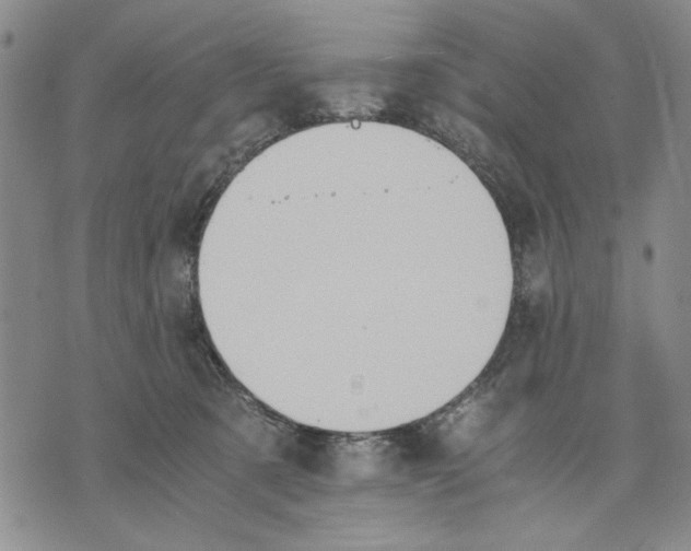 X0000075810321200610151436