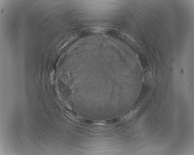 X0000075810325200610151436