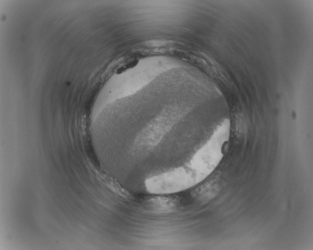 X0000075810326200610151436