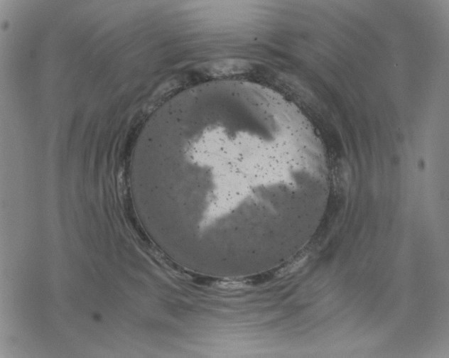 X0000075810327200610151436