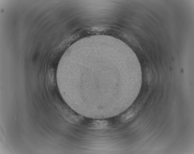 X0000075810328200610151436