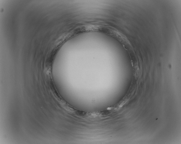 X0000075810329200610151436