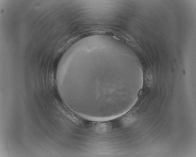 X0000075810330200610151436