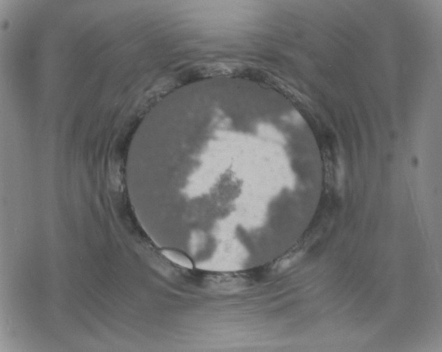 X0000075810331200610151436