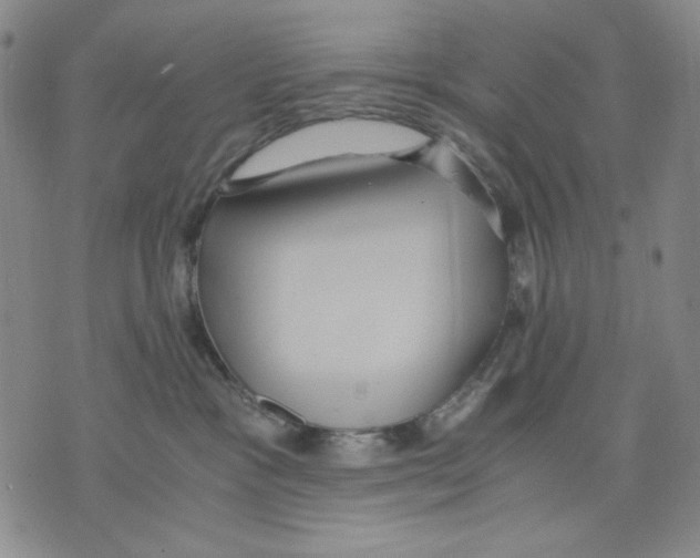 X0000075810333200610151436