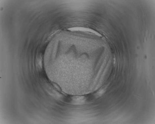 X0000075810334200610151436