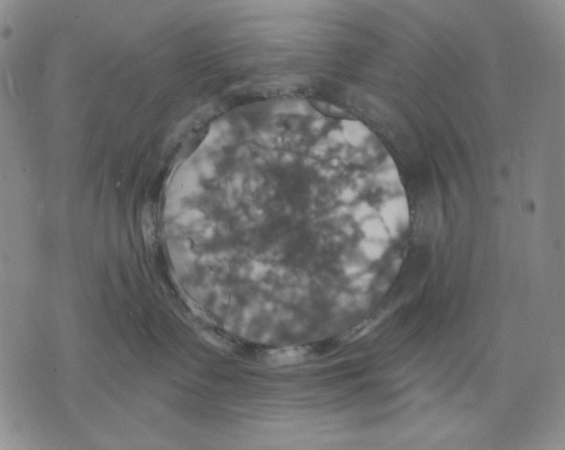 X0000075810335200610151436