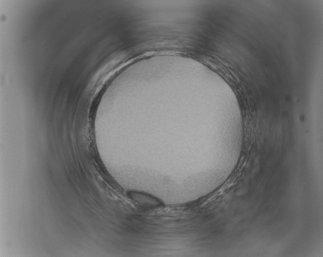 X0000075810338200610151435