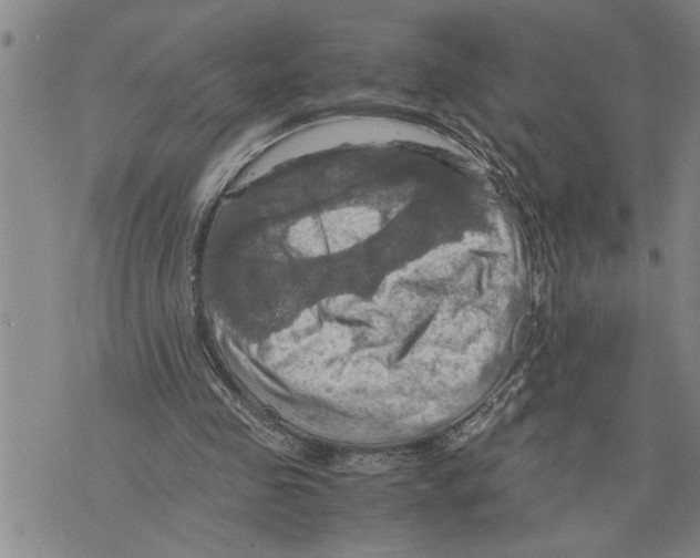 X0000075810341200610151435