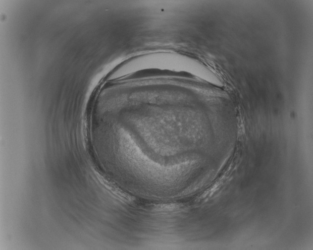 X0000075810342200610151435