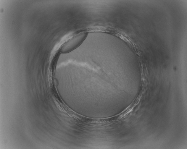 X0000075810343200610151435