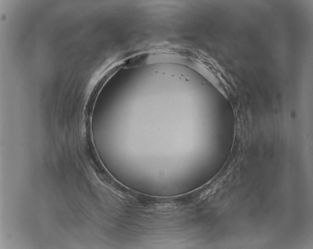 X0000075810344200610151435