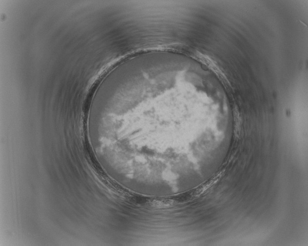 X0000075810346200610151435