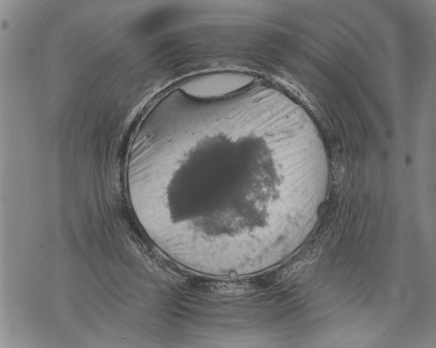 X0000075810347200610151435