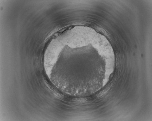 X0000075810349200610151435