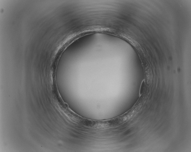 X0000075810350200610151435