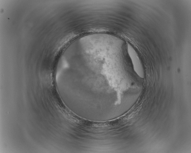 X0000075810351200610151435