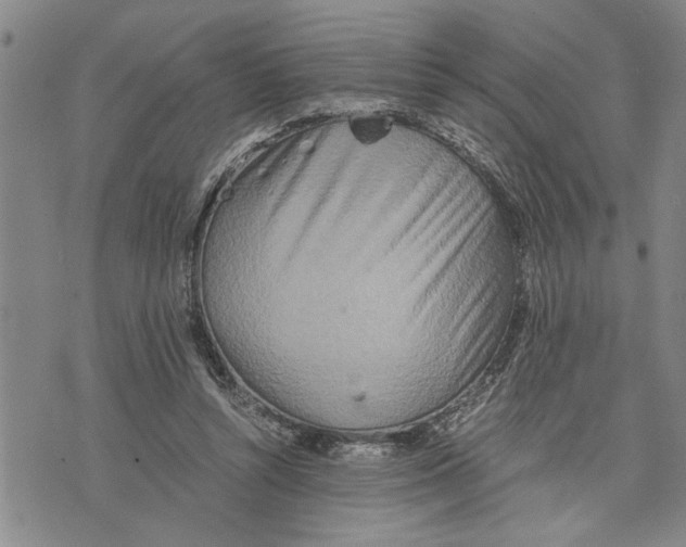 X0000075810352200610151435