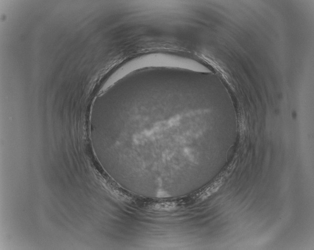 X0000075810353200610151435