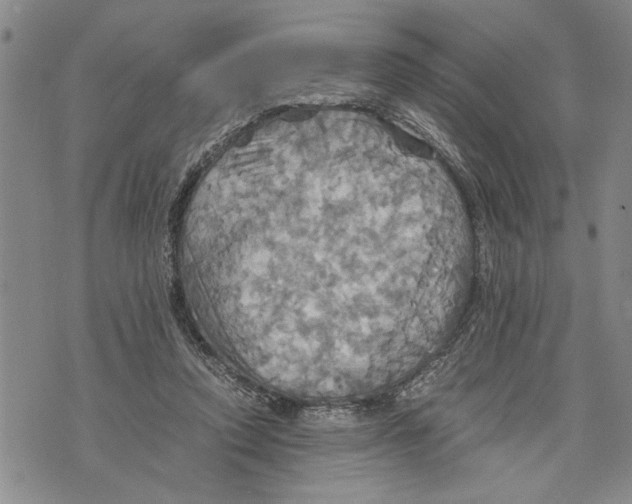 X0000075810354200610151435