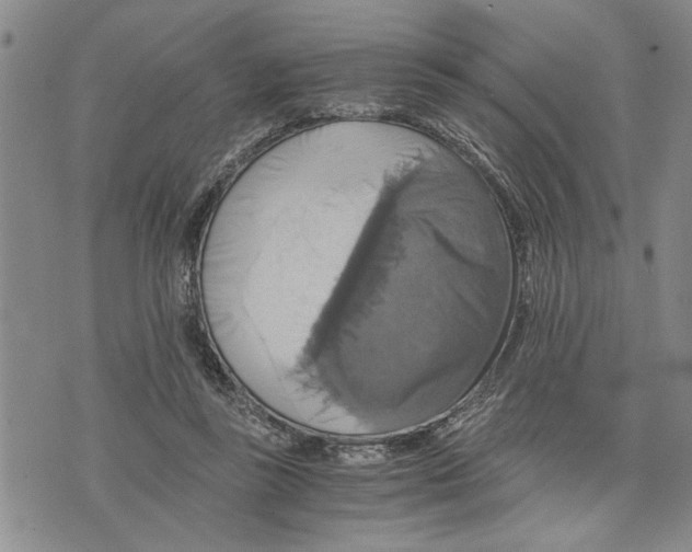 X0000075810355200610151435