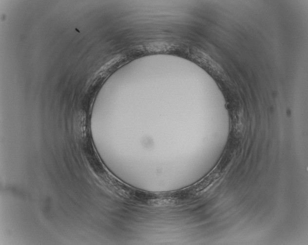 X0000075810356200610151435