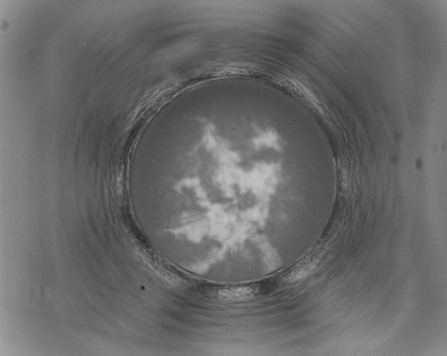 X0000075810357200610151435