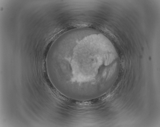 X0000075810359200610151435