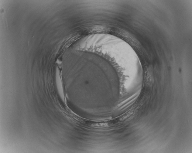 X0000075810361200610151436