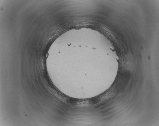 X0000075810362200610151436