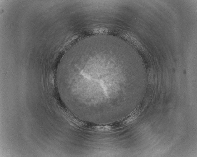 X0000075810363200610151436