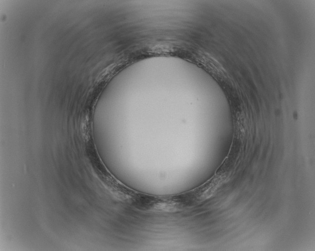 X0000075810364200610151436