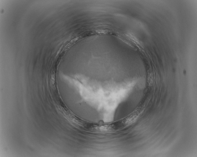 X0000075810365200610151436