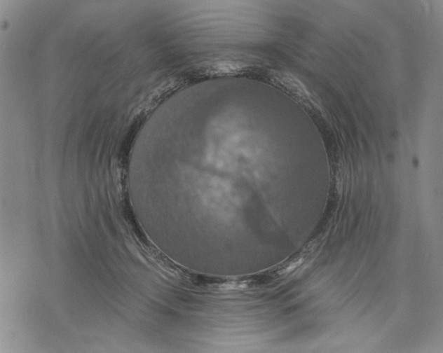 X0000075810366200610151436