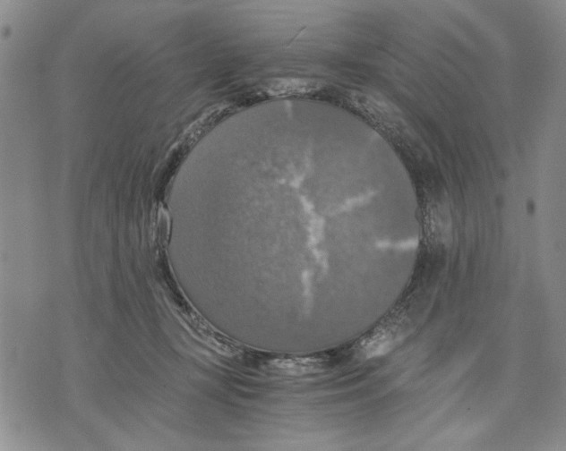 X0000075810367200610151436