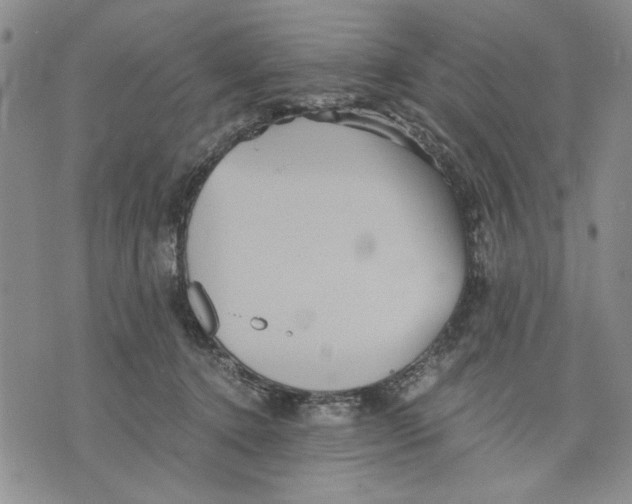 X0000075810368200610151436