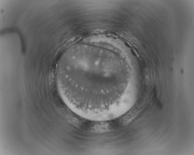 X0000075810369200610151436