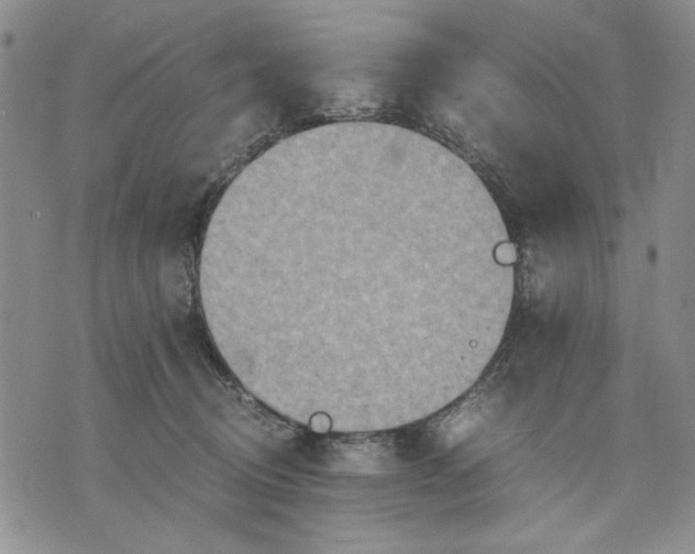 X0000075810370200610151436