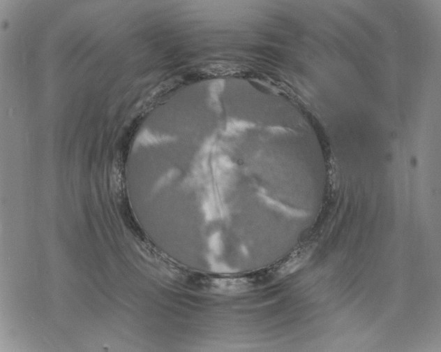 X0000075810371200610151436