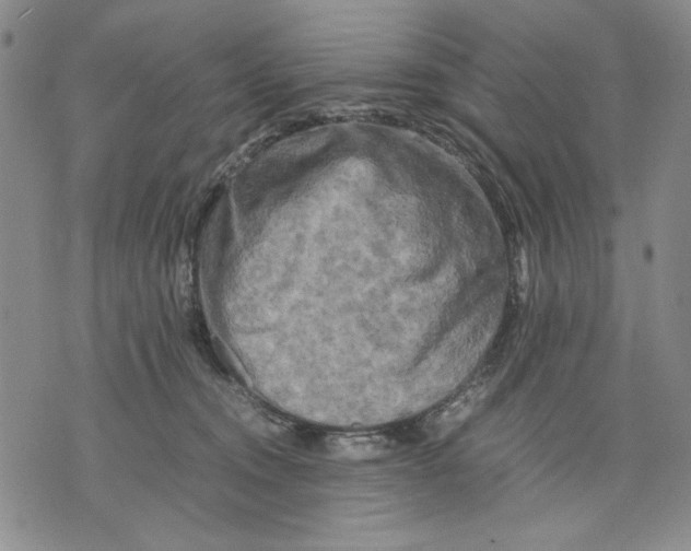 X0000075810372200610151436