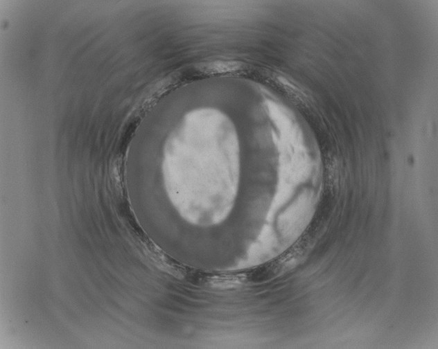 X0000075810373200610151436