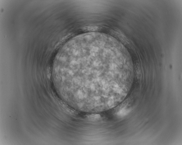 X0000075810374200610151436