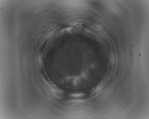 X0000075810375200610151436