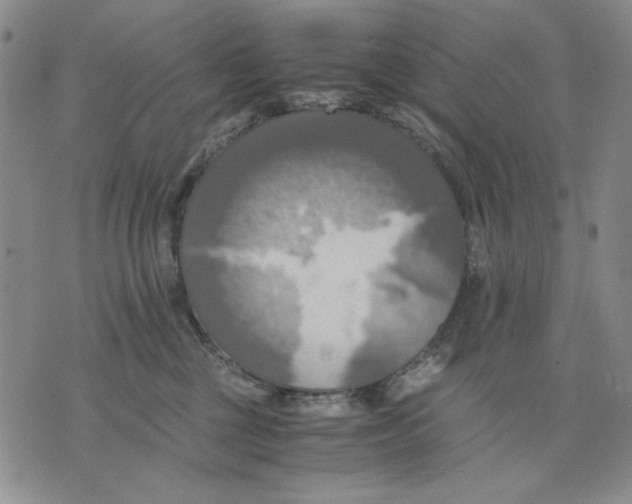 X0000075810377200610151436