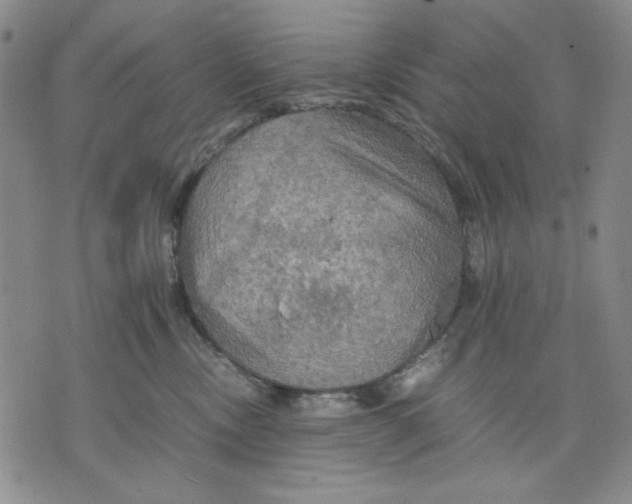 X0000075810378200610151436