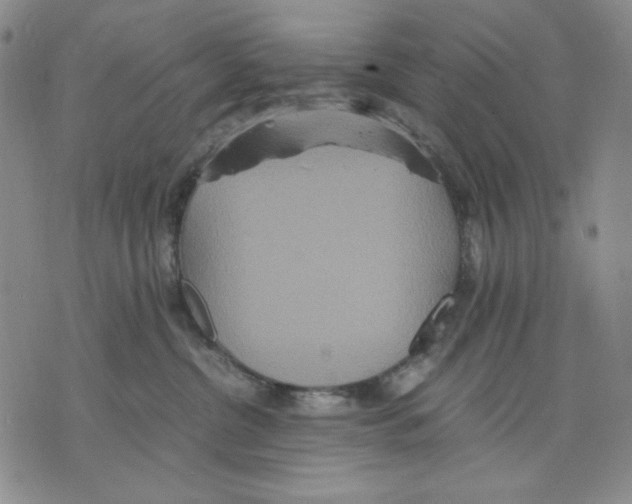 X0000075810380200610151436